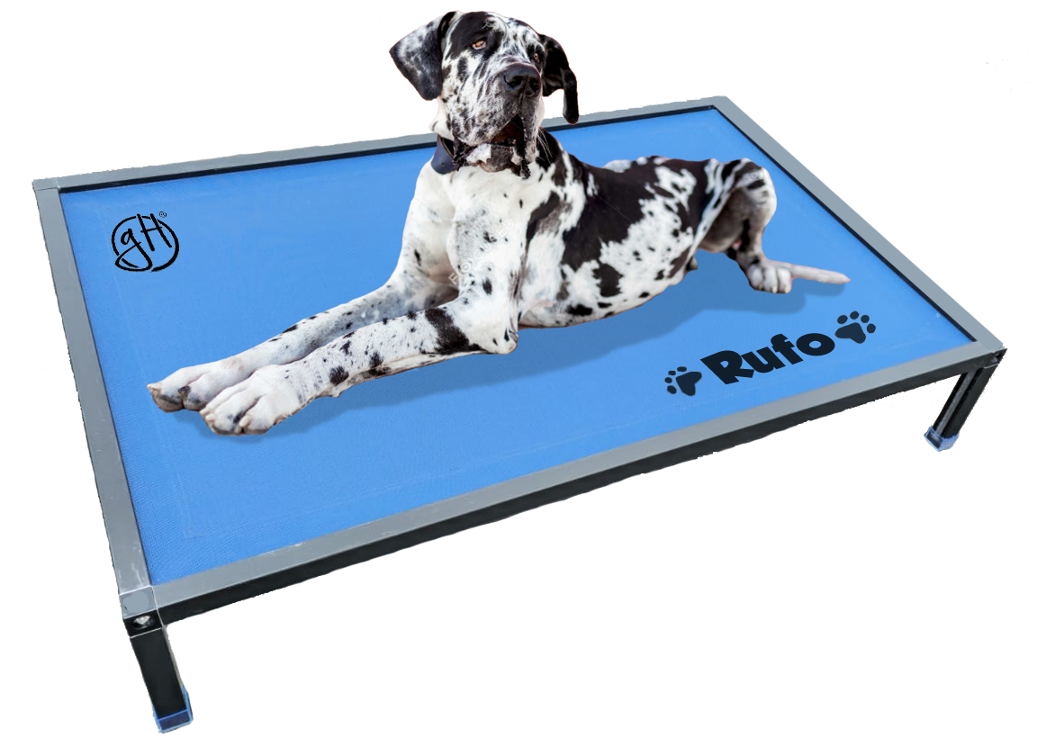 Cama Elevada para Mascotas – Una Inversión Duradera y Saludable