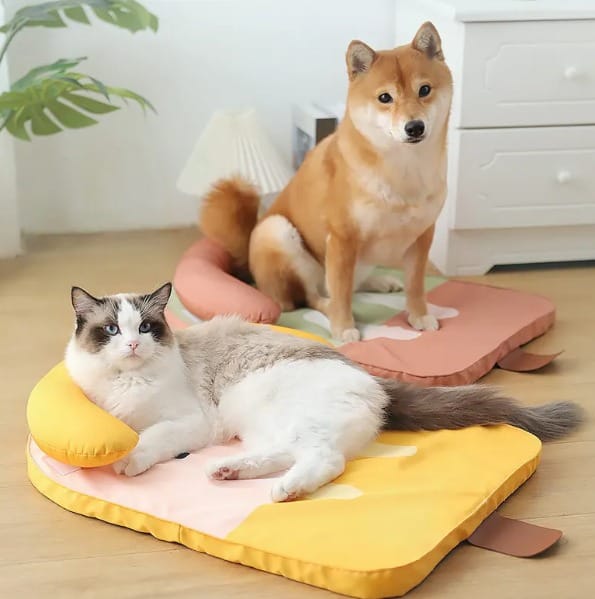 Cama para Mascotas en Forma de Paleta – Comodidad para los Divertidos